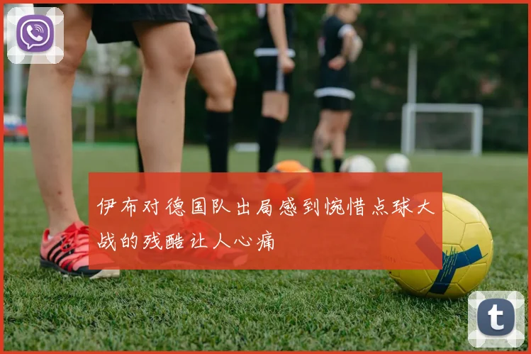 伊布对德国队出局感到惋惜点球大战的残酷让人心痛