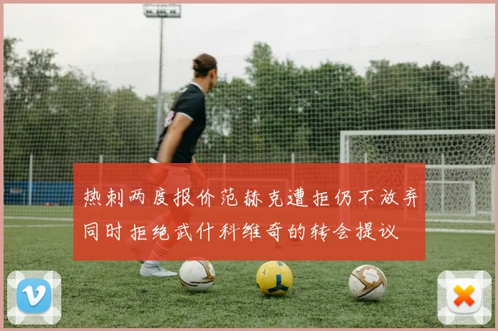 热刺两度报价范赫克遭拒仍不放弃同时拒绝武什科维奇的转会提议
